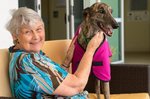 Why lapping up affection from a pet is the best therapy