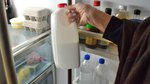 From bananas to milk: How to keep your groceries fresh for longer