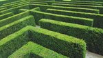 5 key considerations when researching residential aged care in 2021