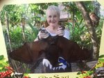 Bitten by a bat in Bali